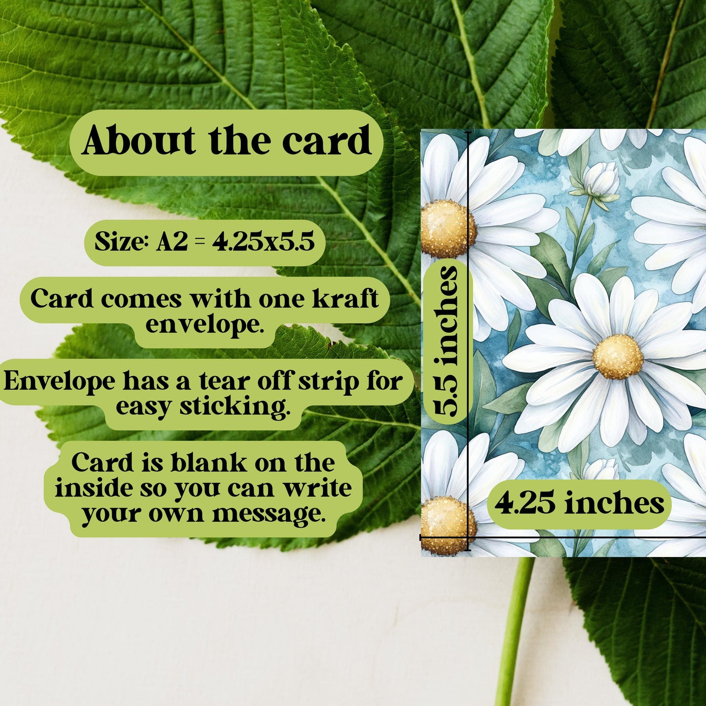 Watercolor Daisy Greeting Card