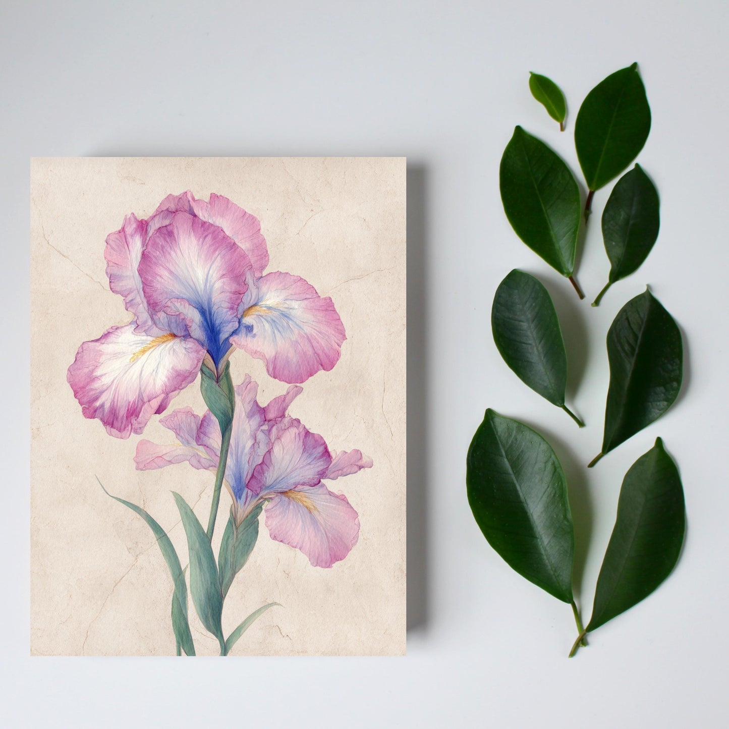 Watercolor Iris Greeting Card