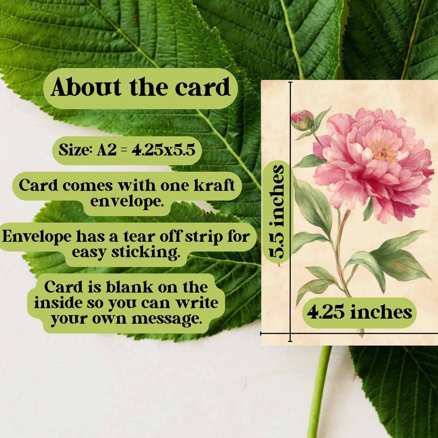 Peony Watercolor Greeting Card: Rustic Floral Note Card