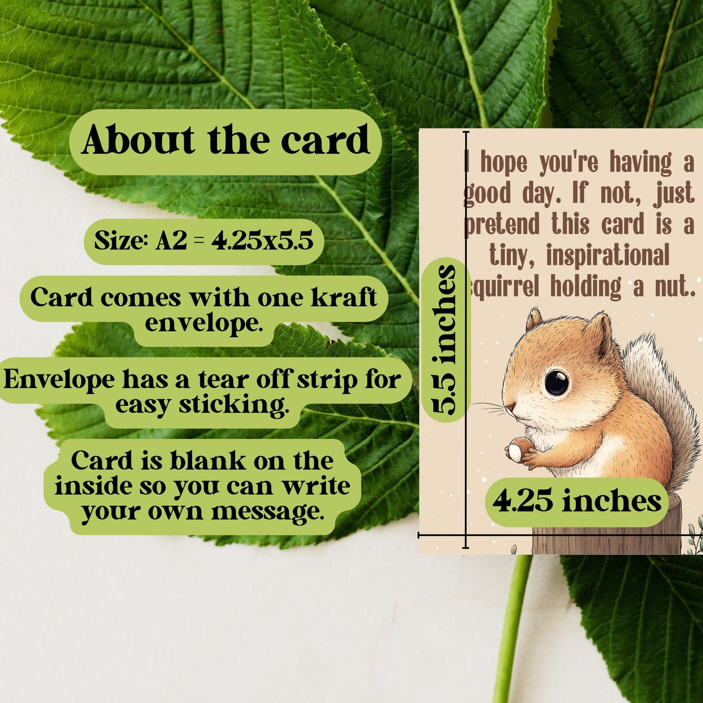 Greeting Card, Cartoon Squirrel Holding a Nut