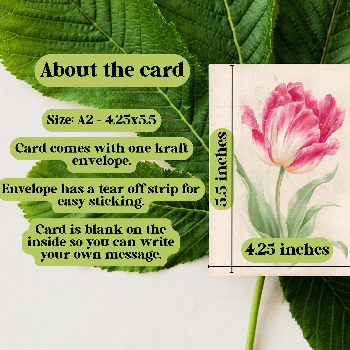 Watercolor Tulip Greeting Card