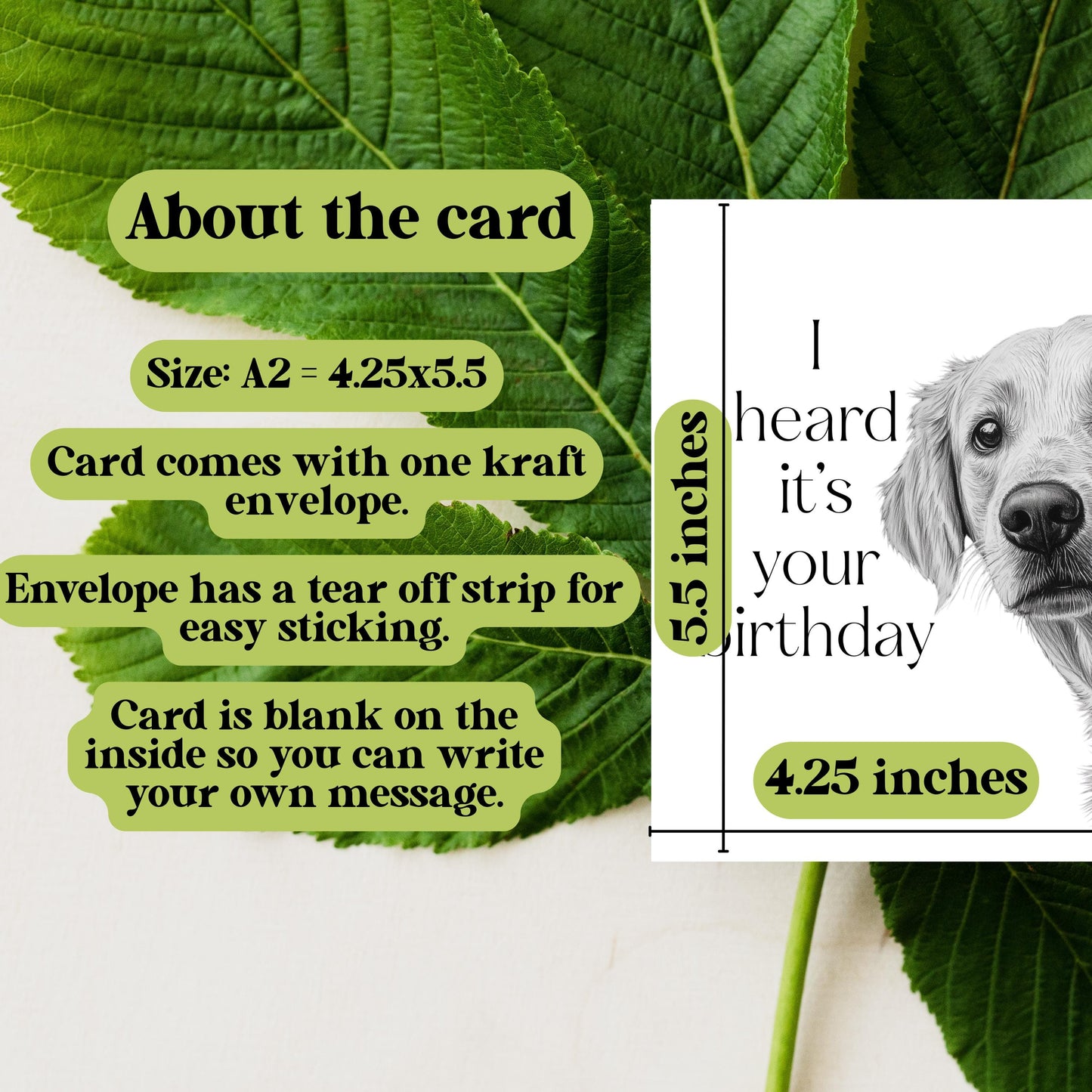 Golden Retriever Birthday Card