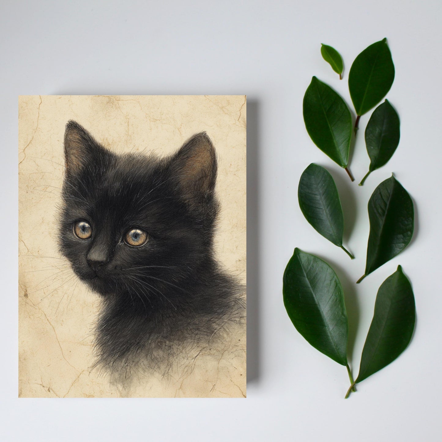 Black Kitten Greeting Card, Vintage Cat Drawing