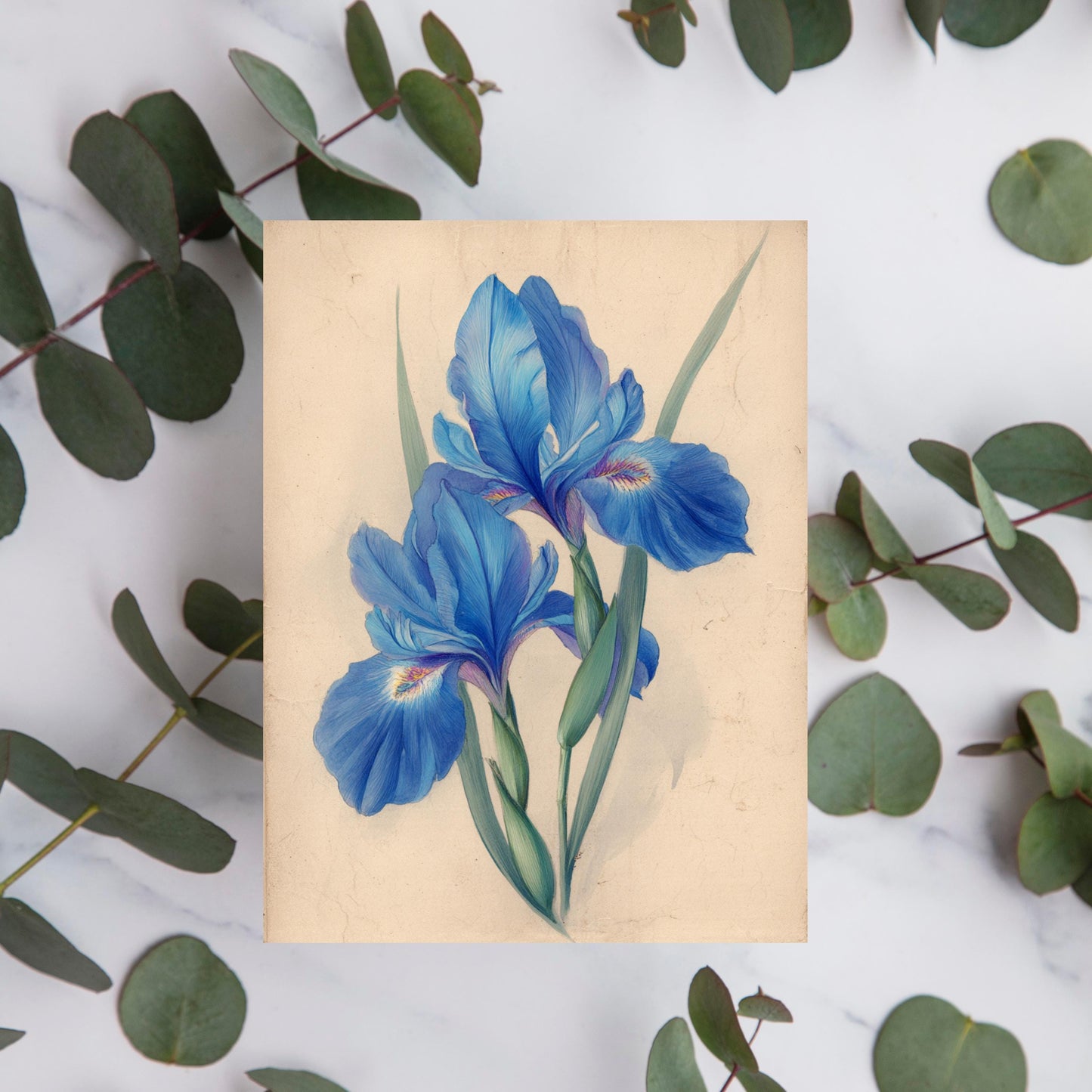 Blue Iris Watercolor Greeting Card