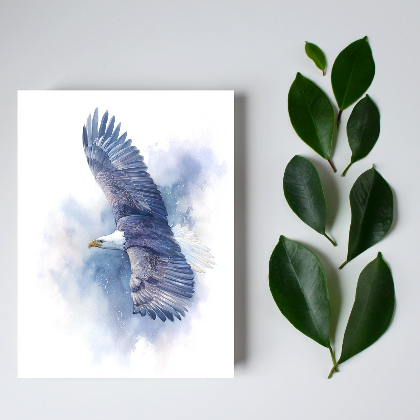 Watercolor Bald Eagle Greeting Card