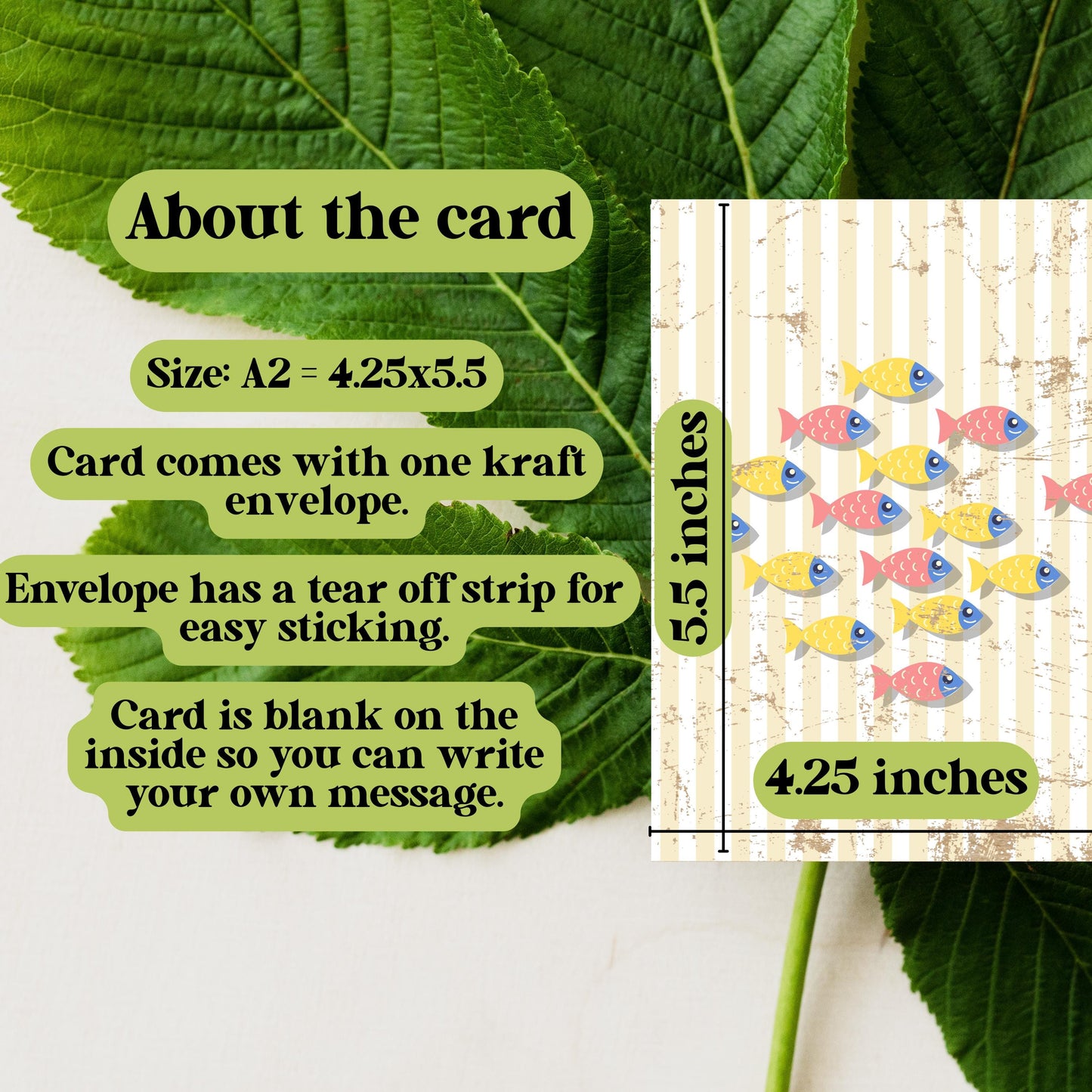 School of Fish Greeting Card