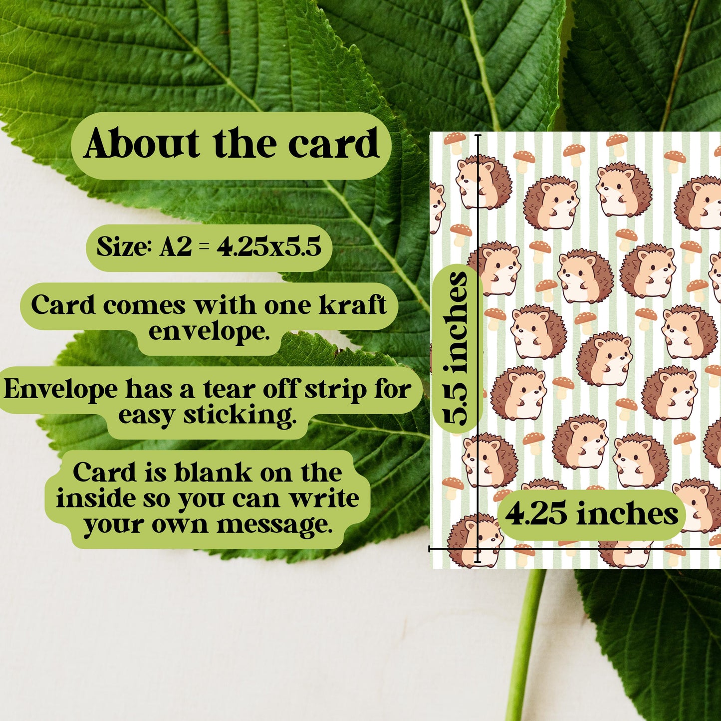 Kawaii Hedgehog Greeting Card