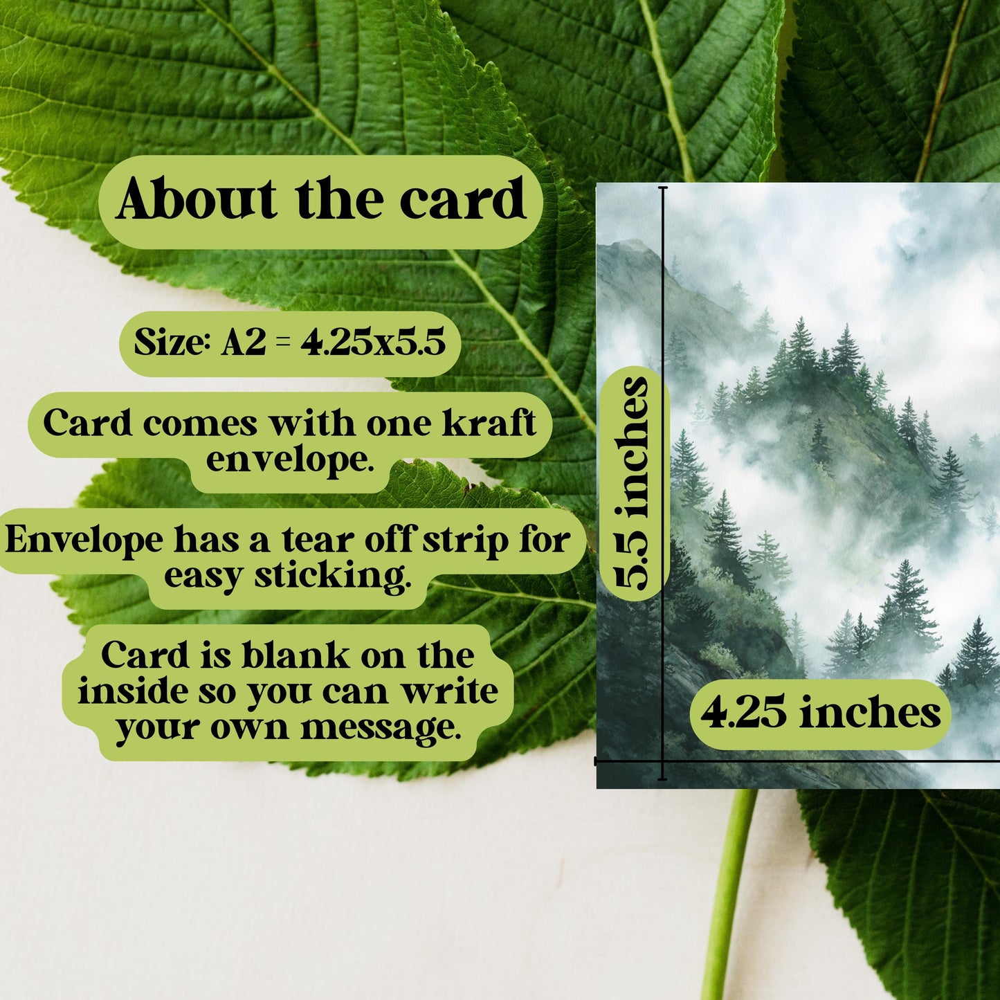 Misty Mountain Pine Tree Greeting Card