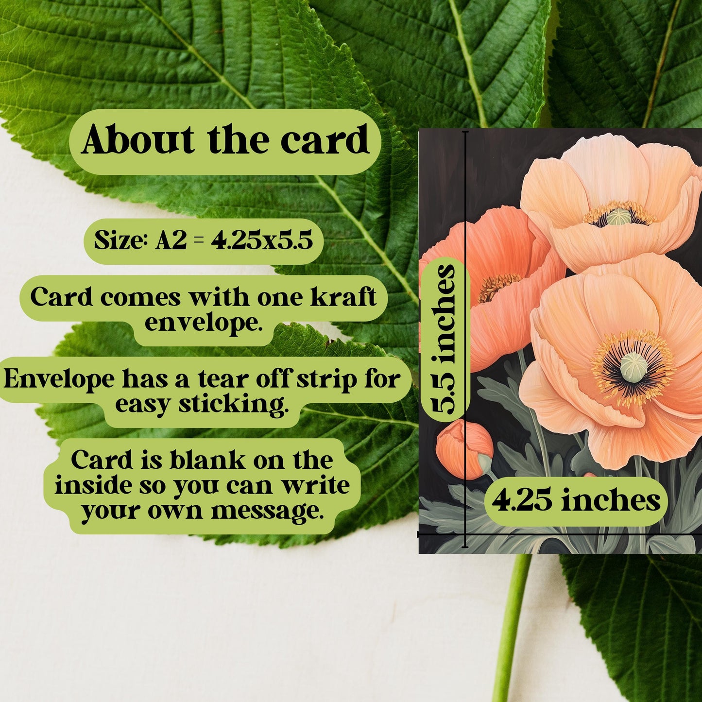 Moody Botanical Peach Poppy Card