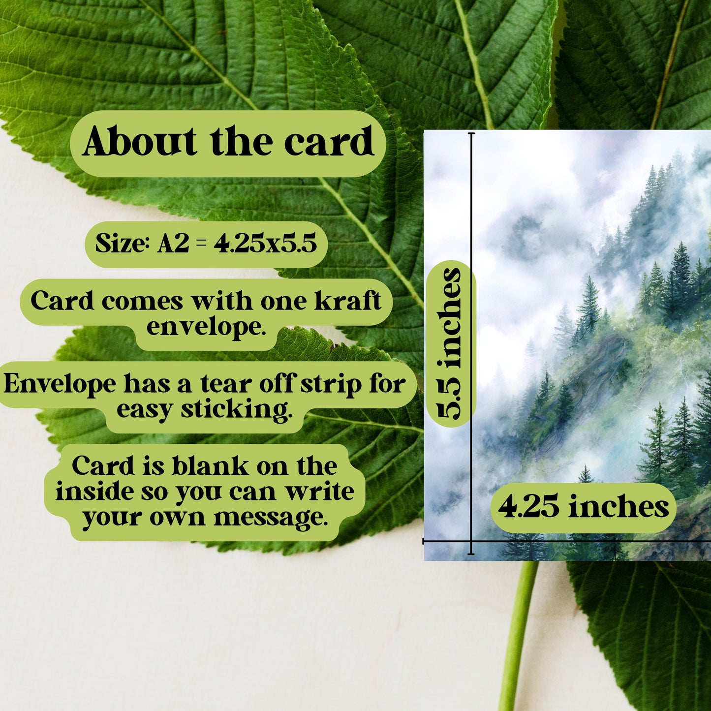 Misty Mountain Pine Tree Greeting Card
