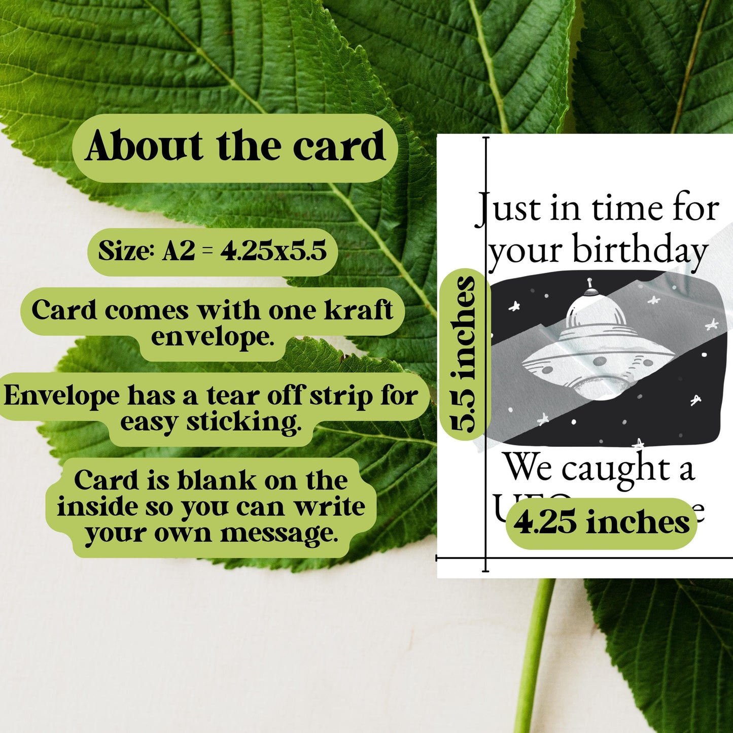 UFO Happy Birthday Card