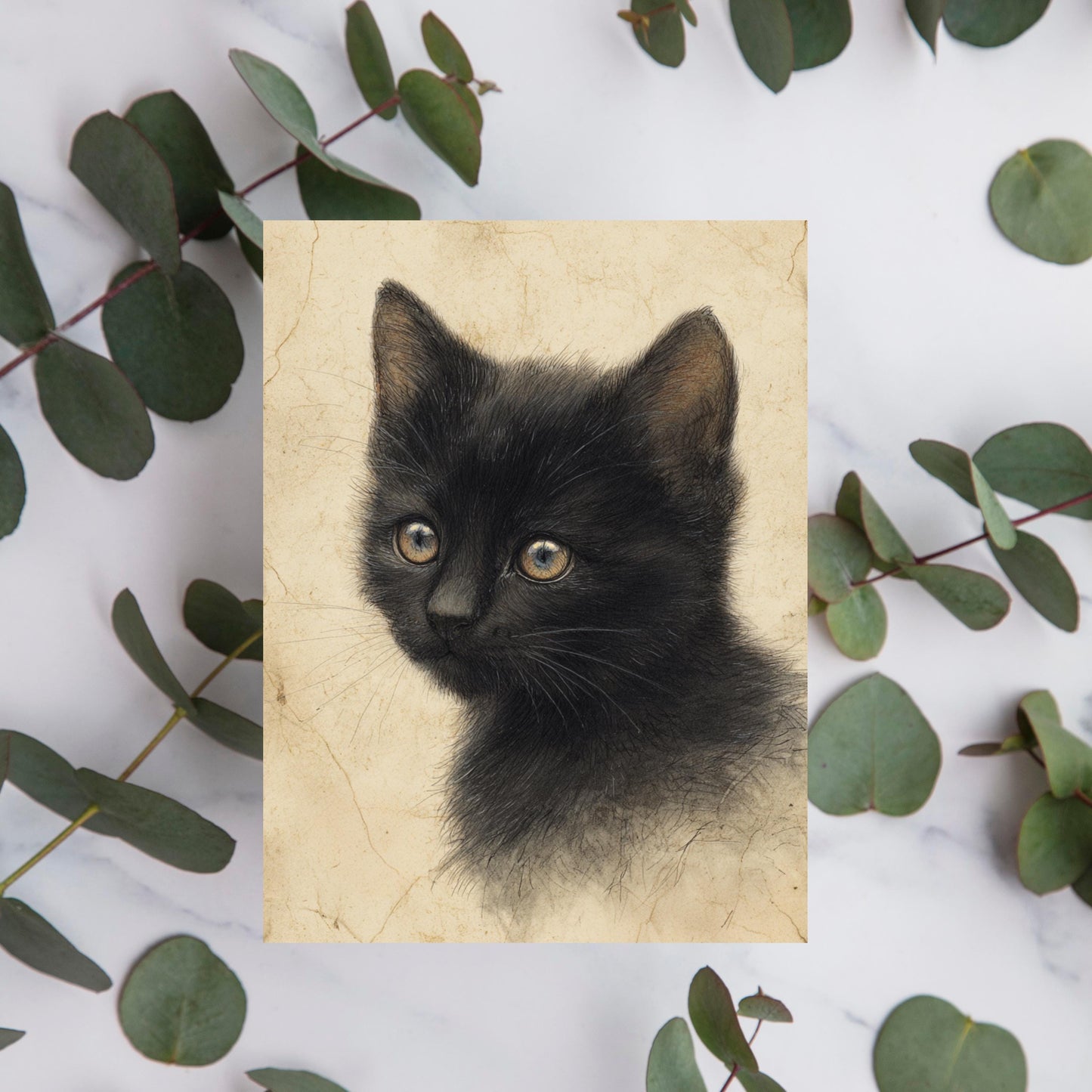 Black Kitten Greeting Card, Vintage Cat Drawing