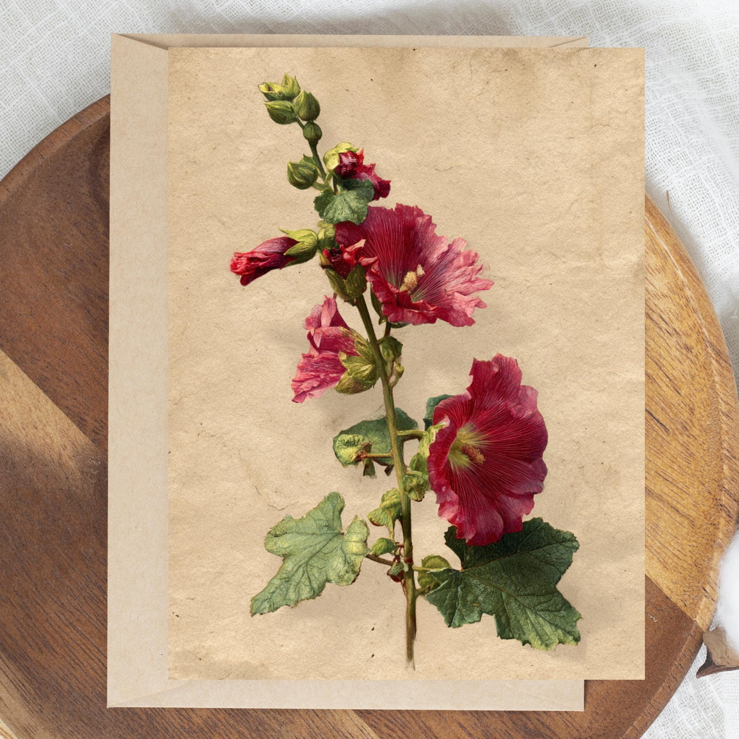 Vintage Botanical Hollyhock Greeting Card