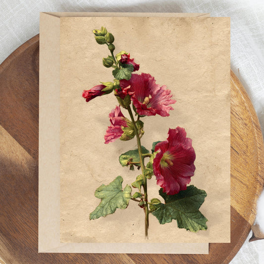 Vintage Botanical Hollyhock Greeting Card
