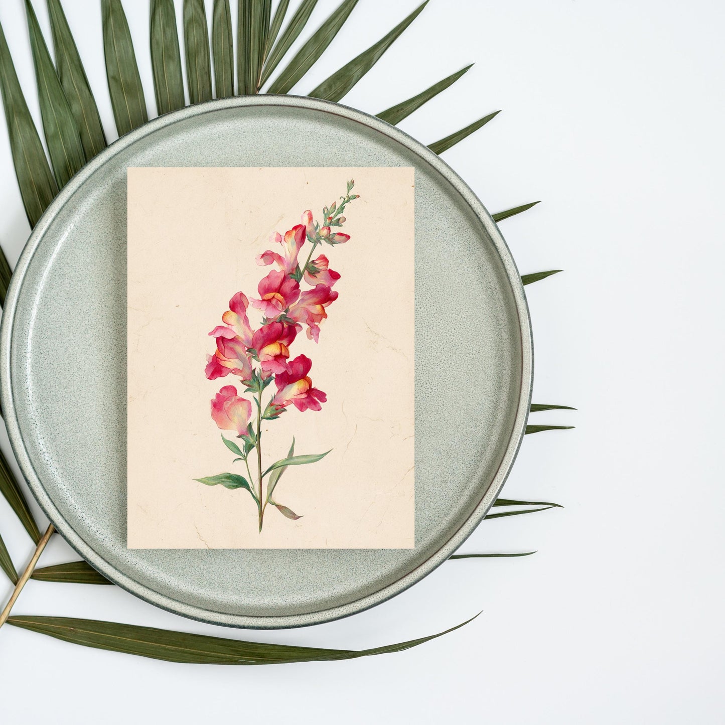 Snapdragon Flower Watercolor Greeting Card