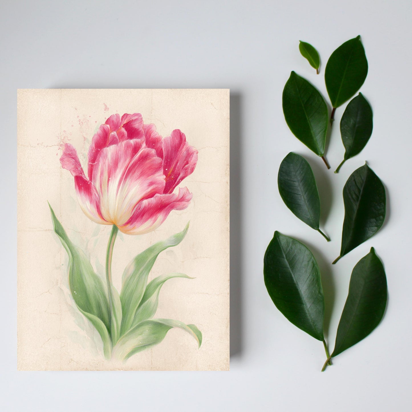 Watercolor Tulip Greeting Card