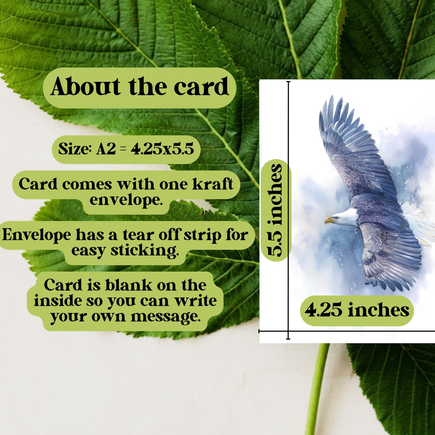 Watercolor Bald Eagle Greeting Card