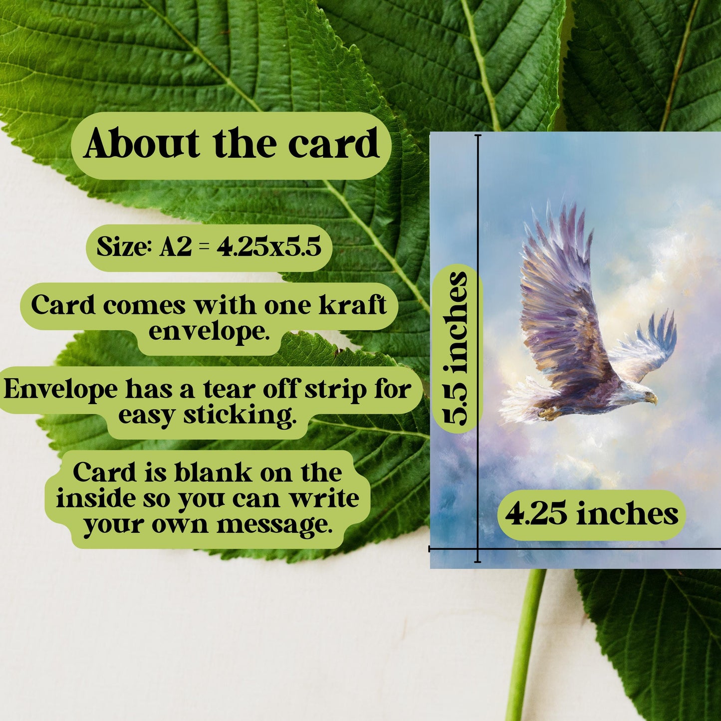 Soaring Bald Eagle Greeting Card