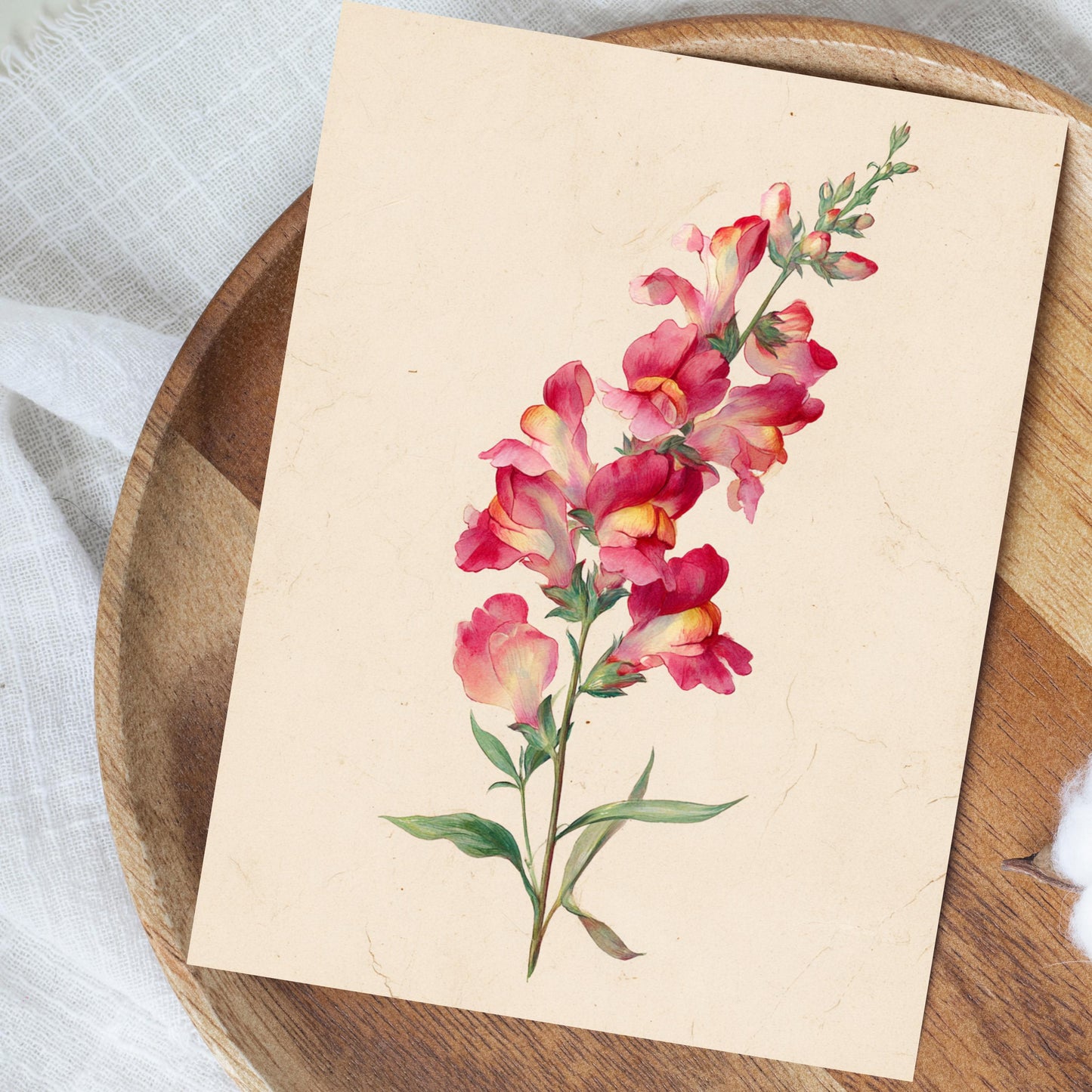 Snapdragon Flower Watercolor Greeting Card