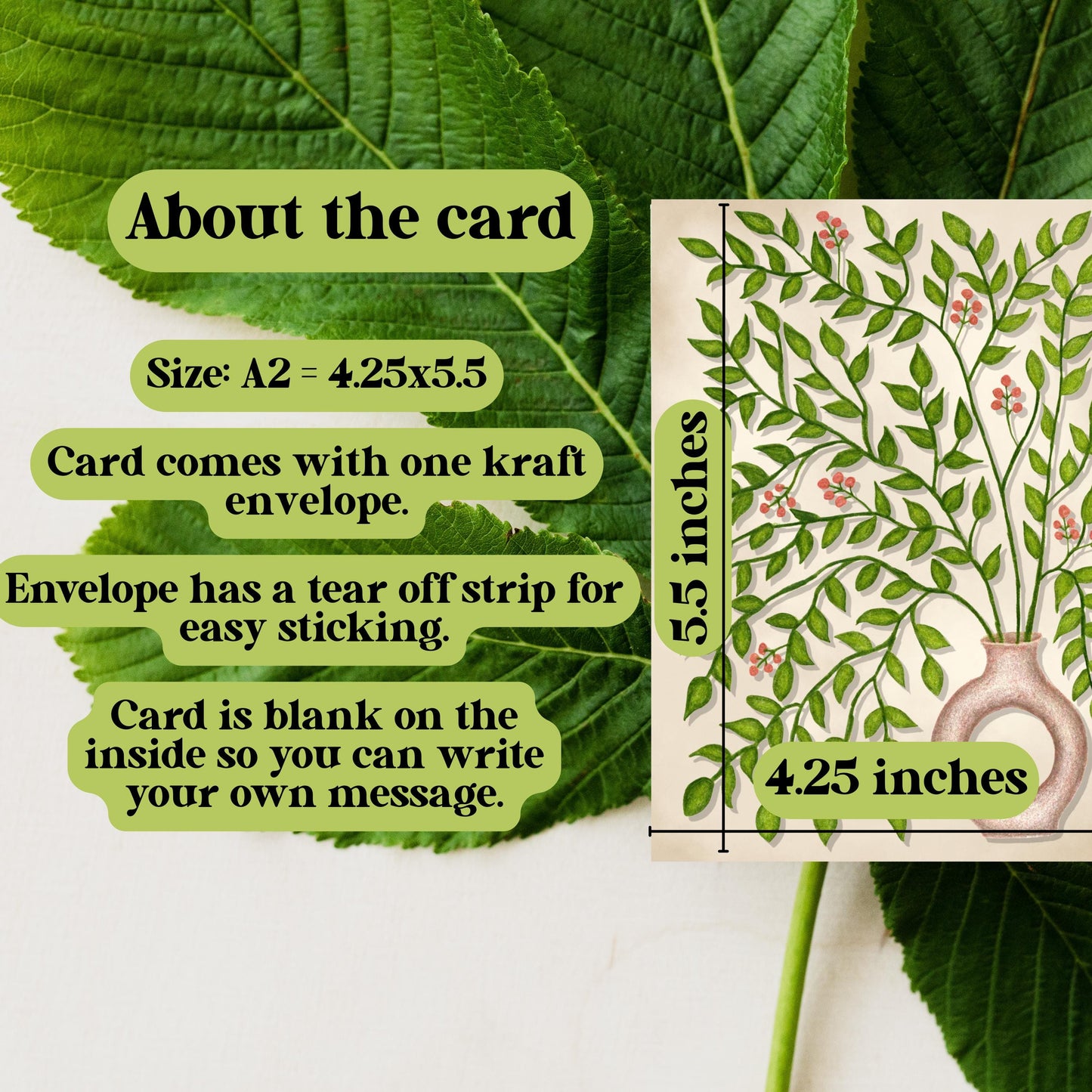 Hand-Drawn Botanical Greeting Card