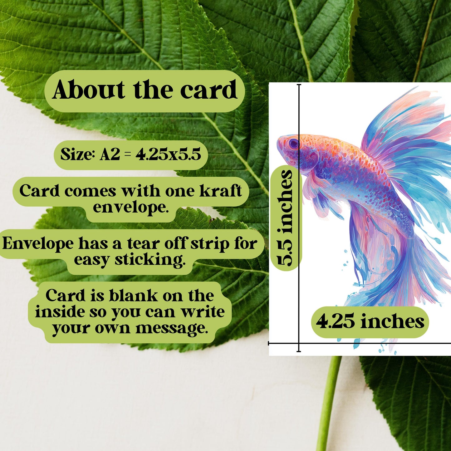 Watercolor Beta Fish Greeting Card