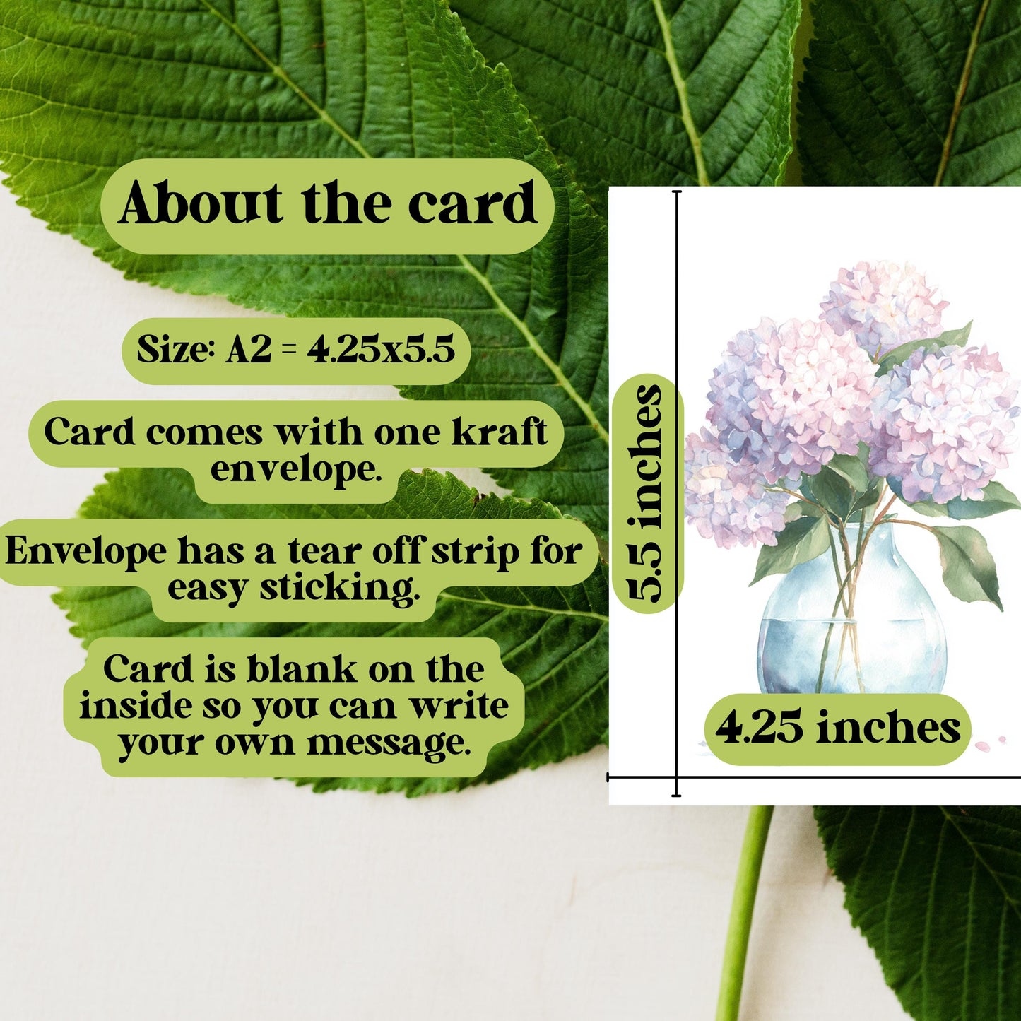 Watercolor Hydrangea Greeting Card