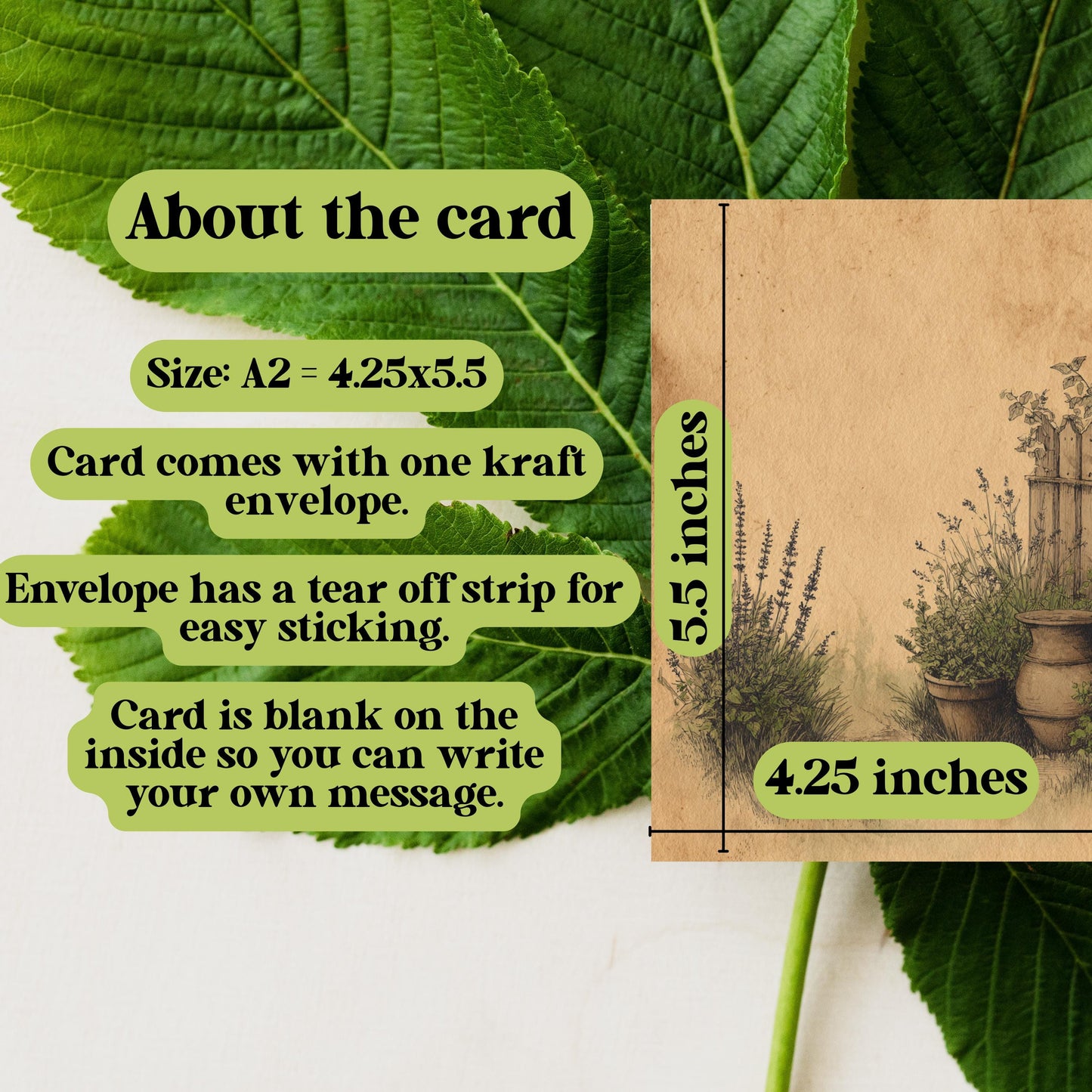 Cottage Garden Note Card, Rustic Herb Garden Stationery