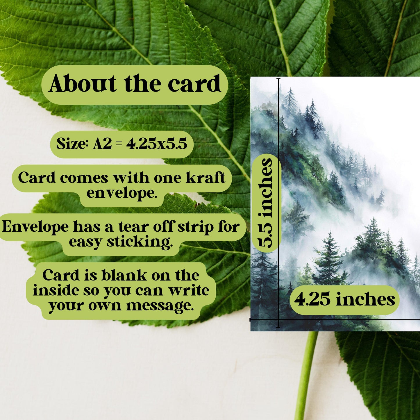 Misty Mountain Pine Tree Greeting Card