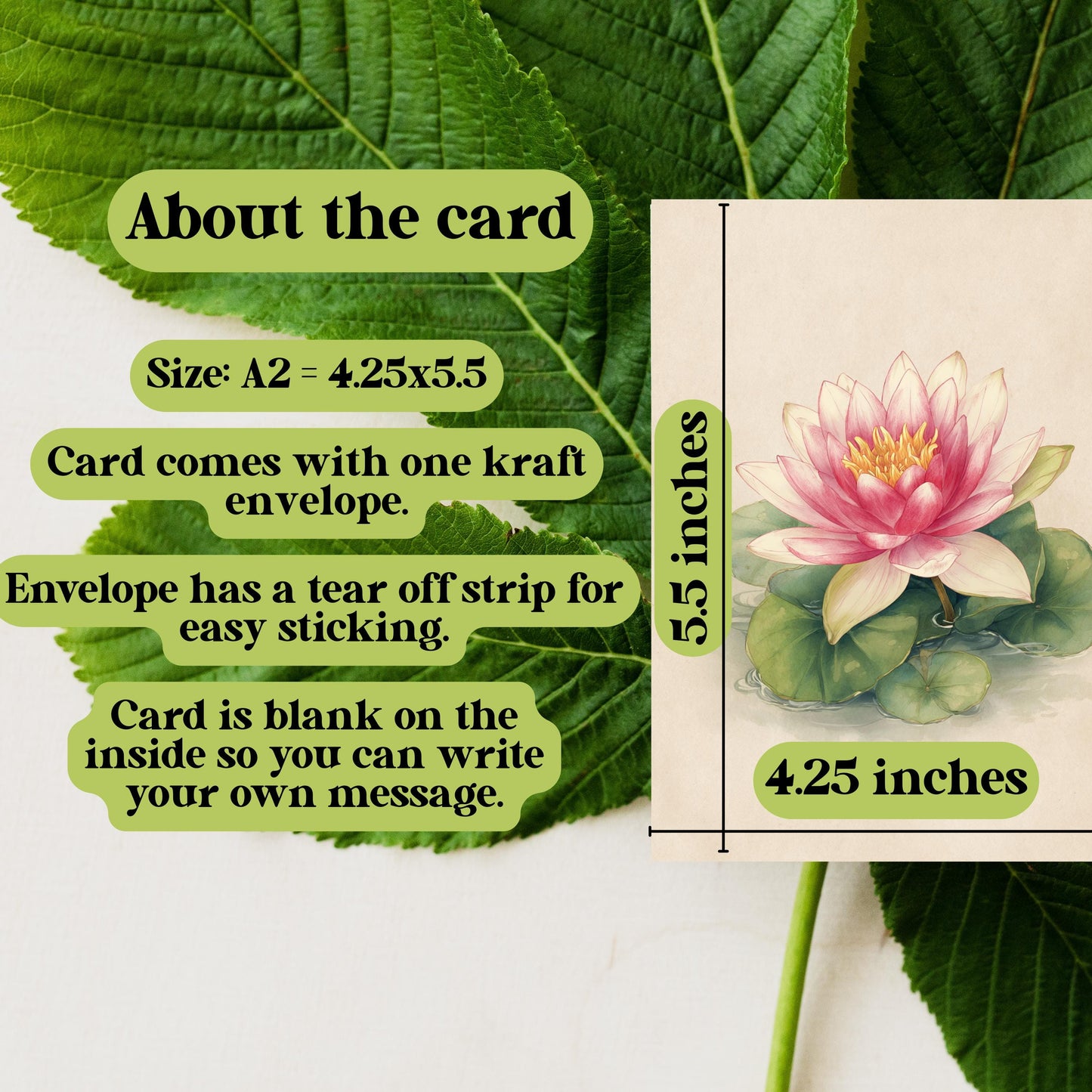 Watercolor Water Lily Greeting Card