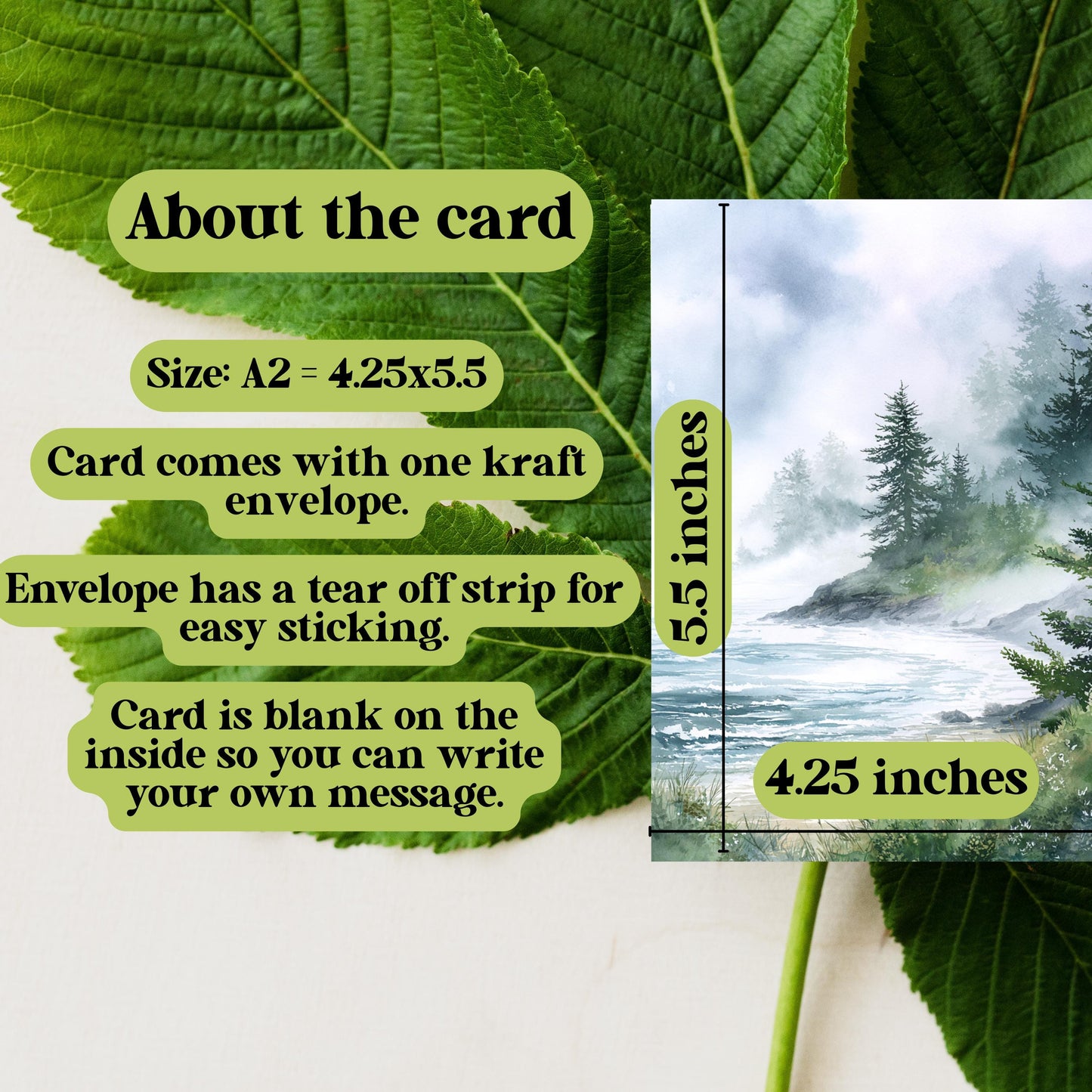 Misty Coastal Pine Tree Greeting Card