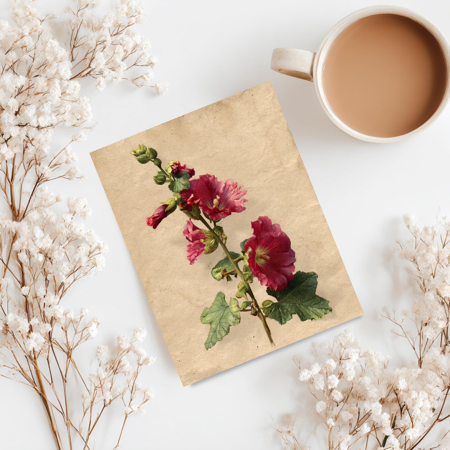 Vintage Botanical Hollyhock Greeting Card