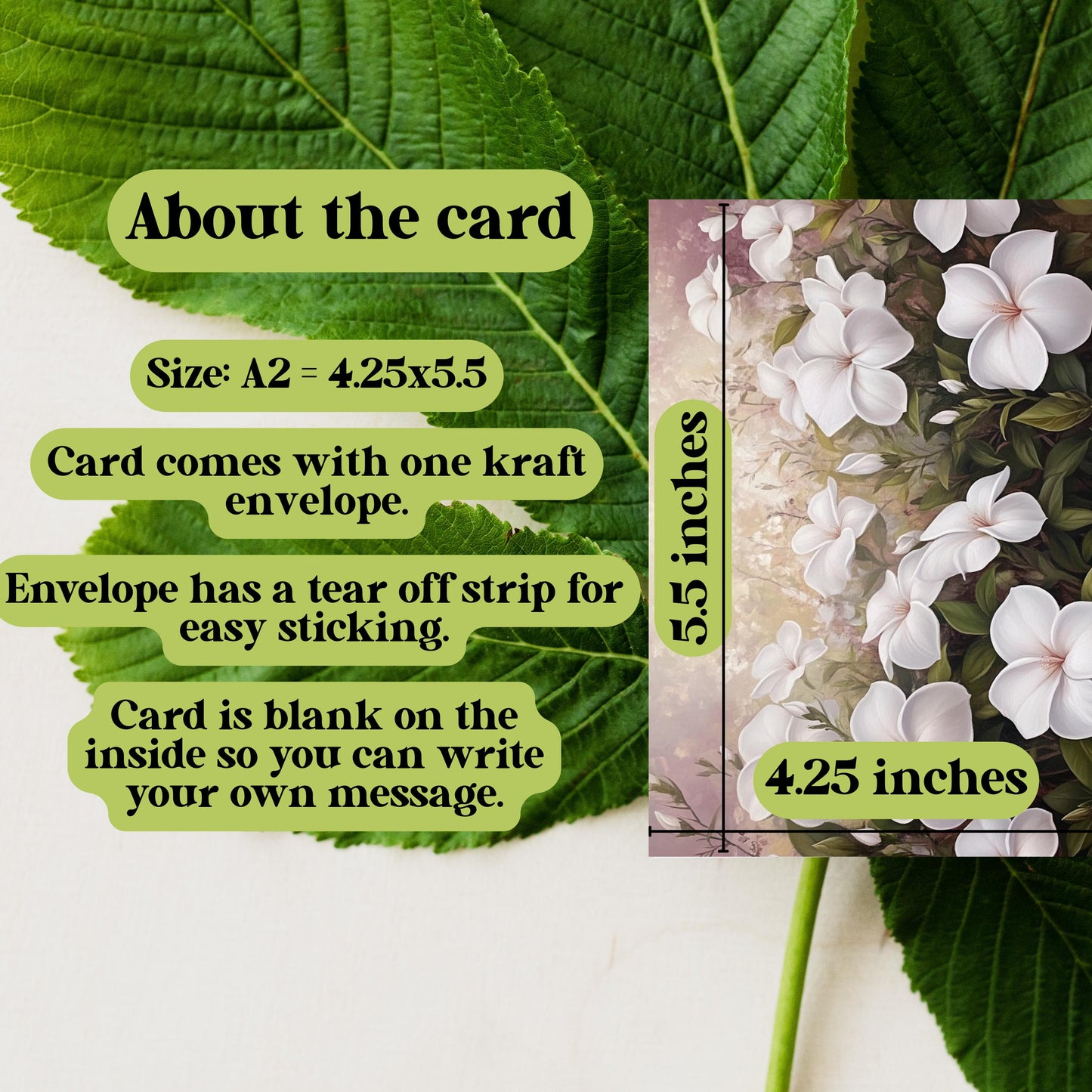 White Jasmine Floral Greeting Card