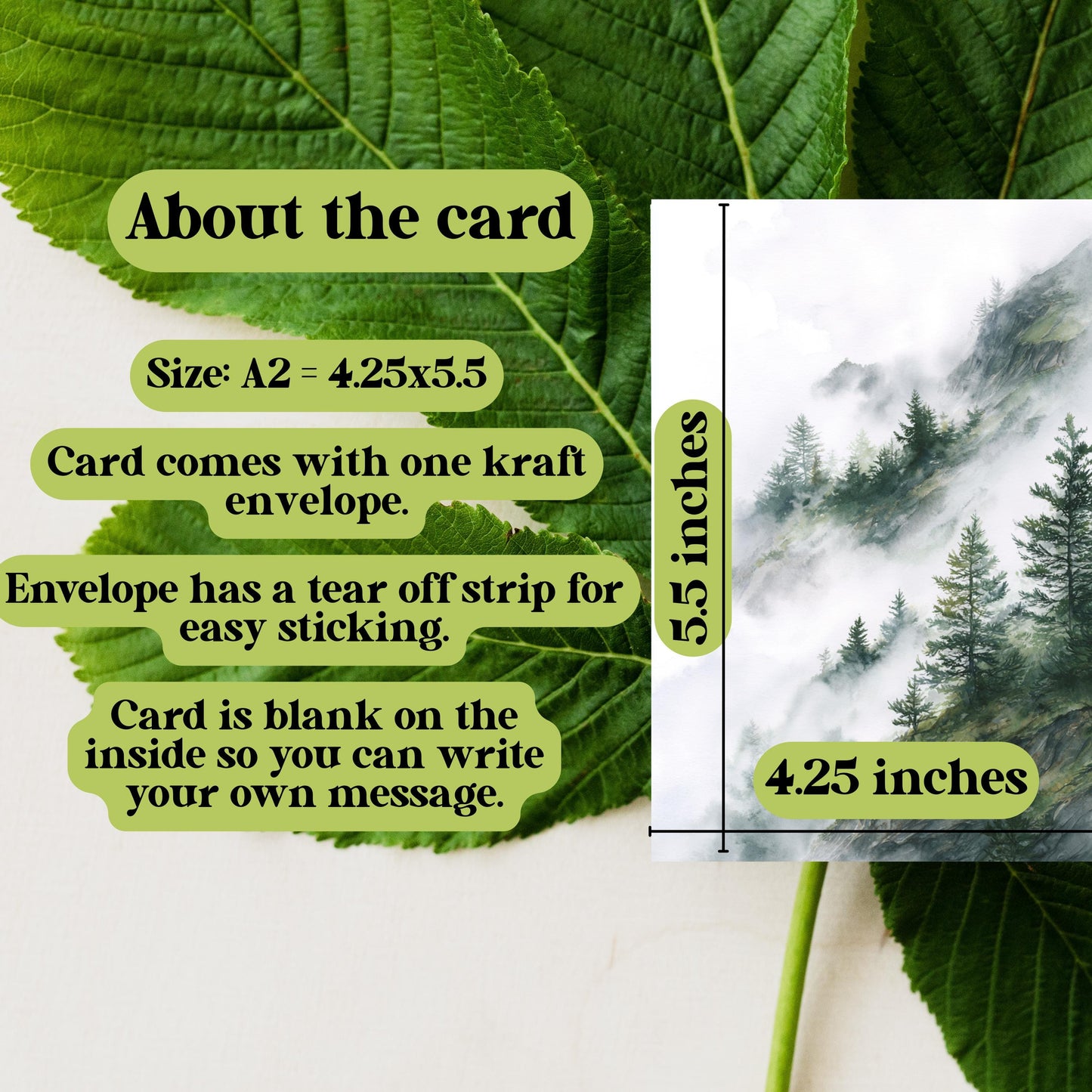 Misty Mountain Pine Tree Greeting Card