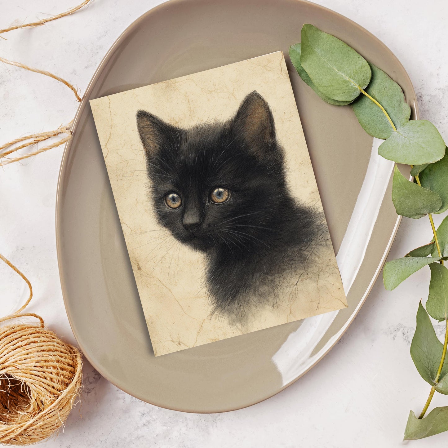 Black Kitten Greeting Card, Vintage Cat Drawing