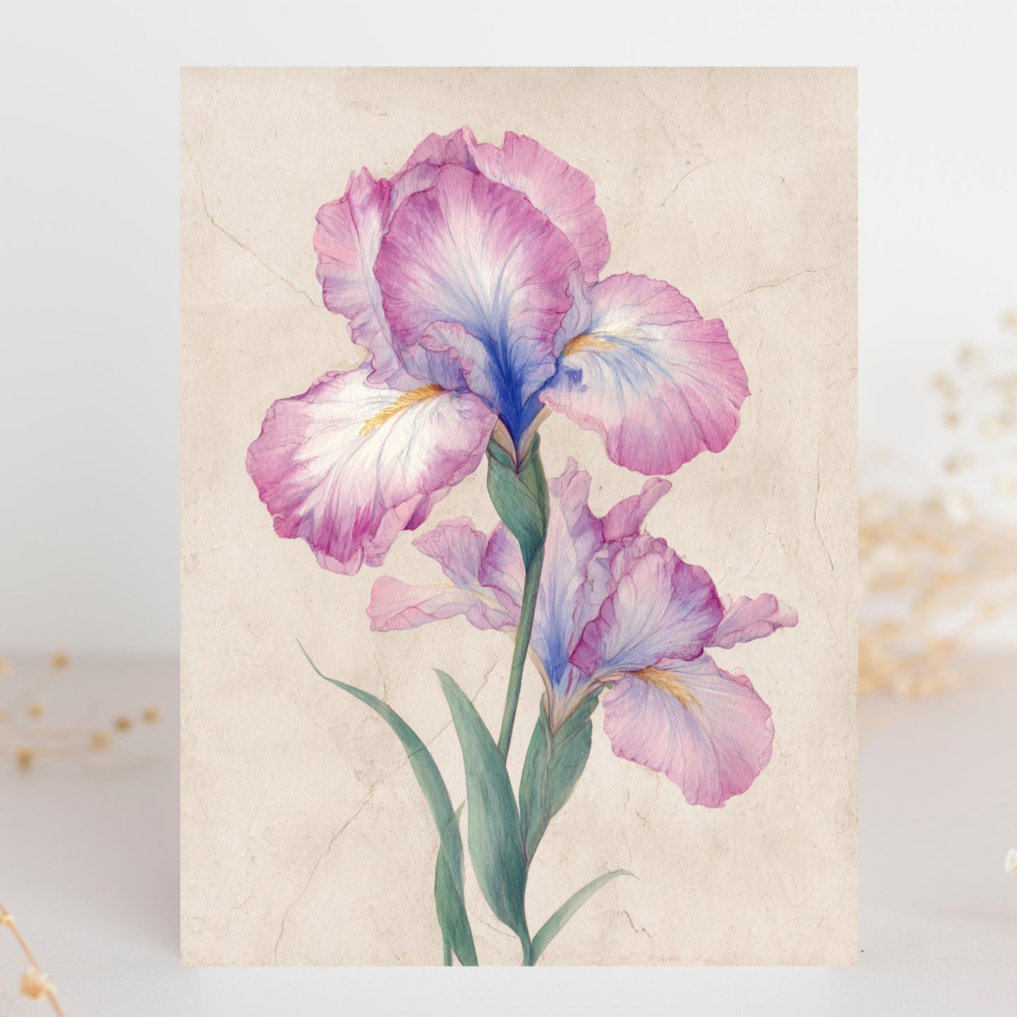 Watercolor Iris Greeting Card