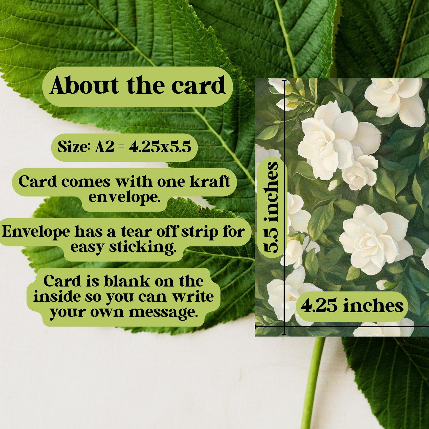 White Gardenia Floral Greeting Card