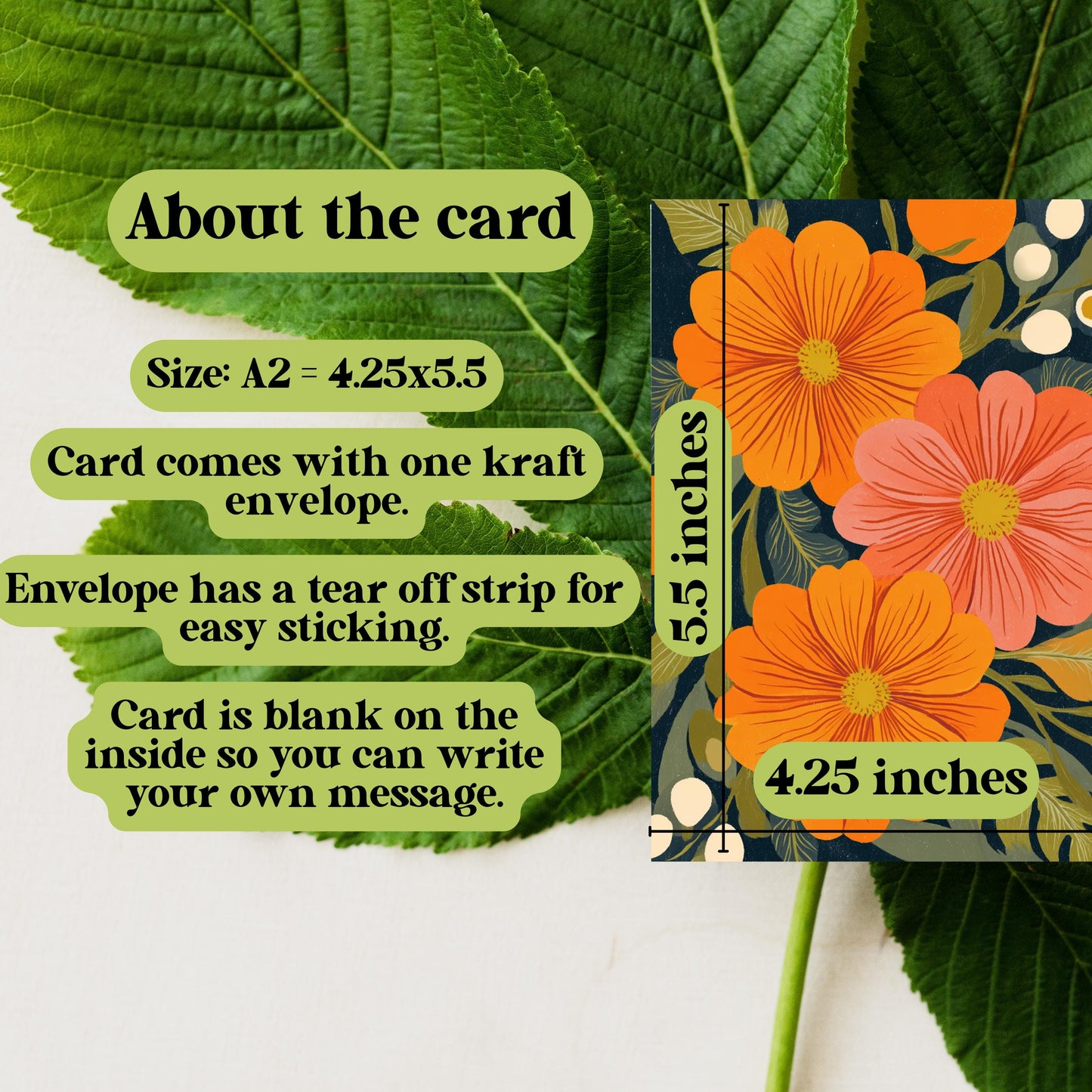 Orange and Coral Zinnia Note Card