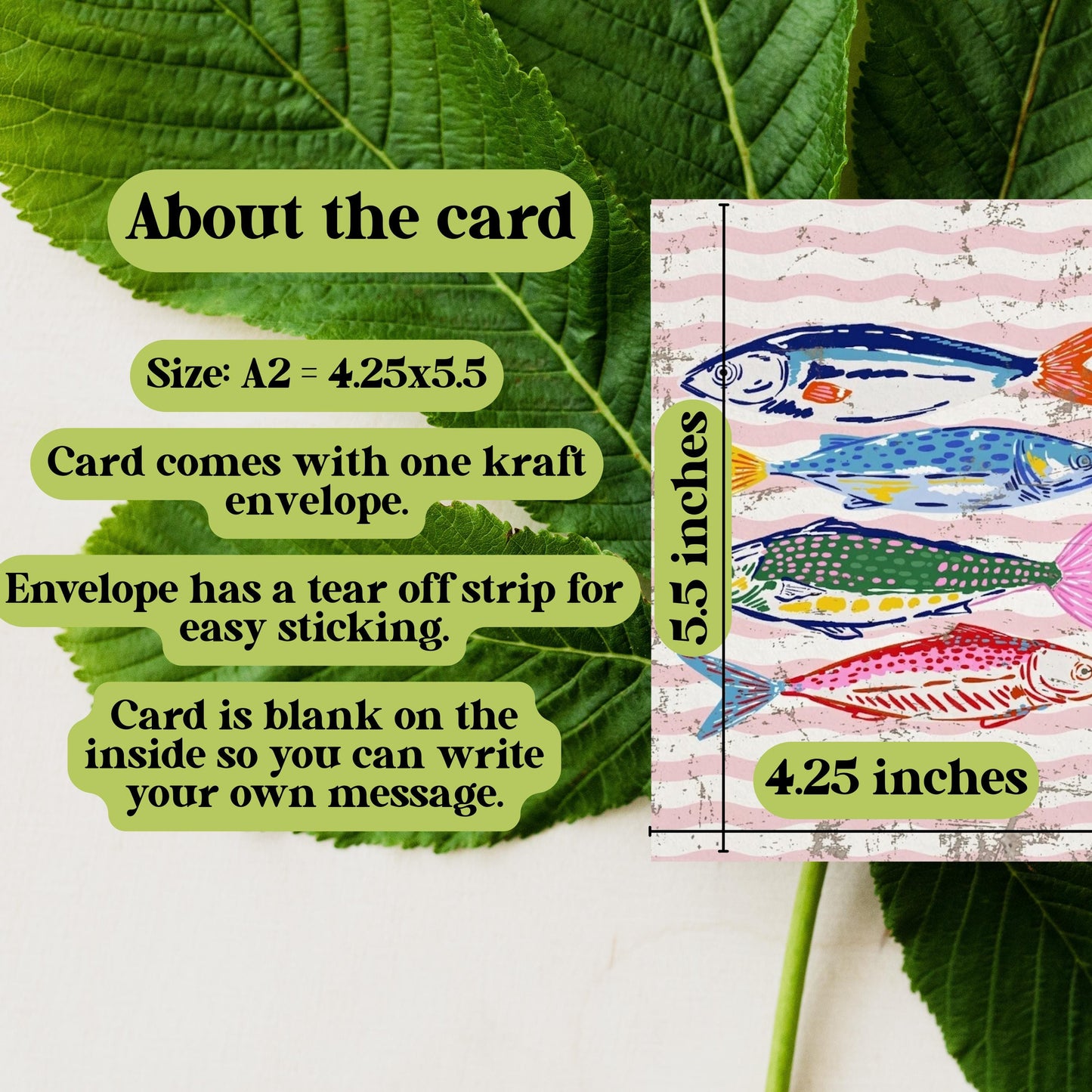 Colorful Fish Greeting Card