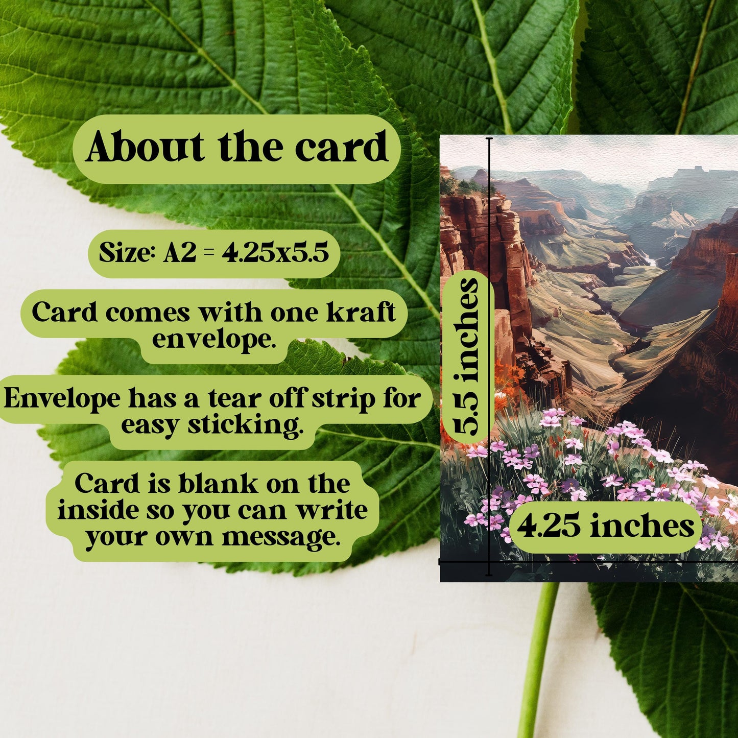 Vintage Grand Canyon National Park Card