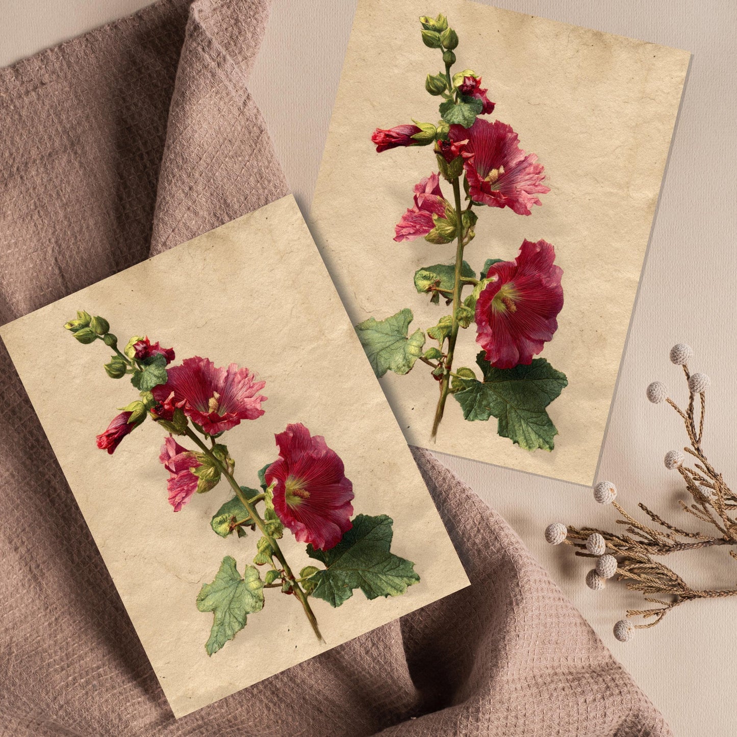 Vintage Botanical Hollyhock Greeting Card