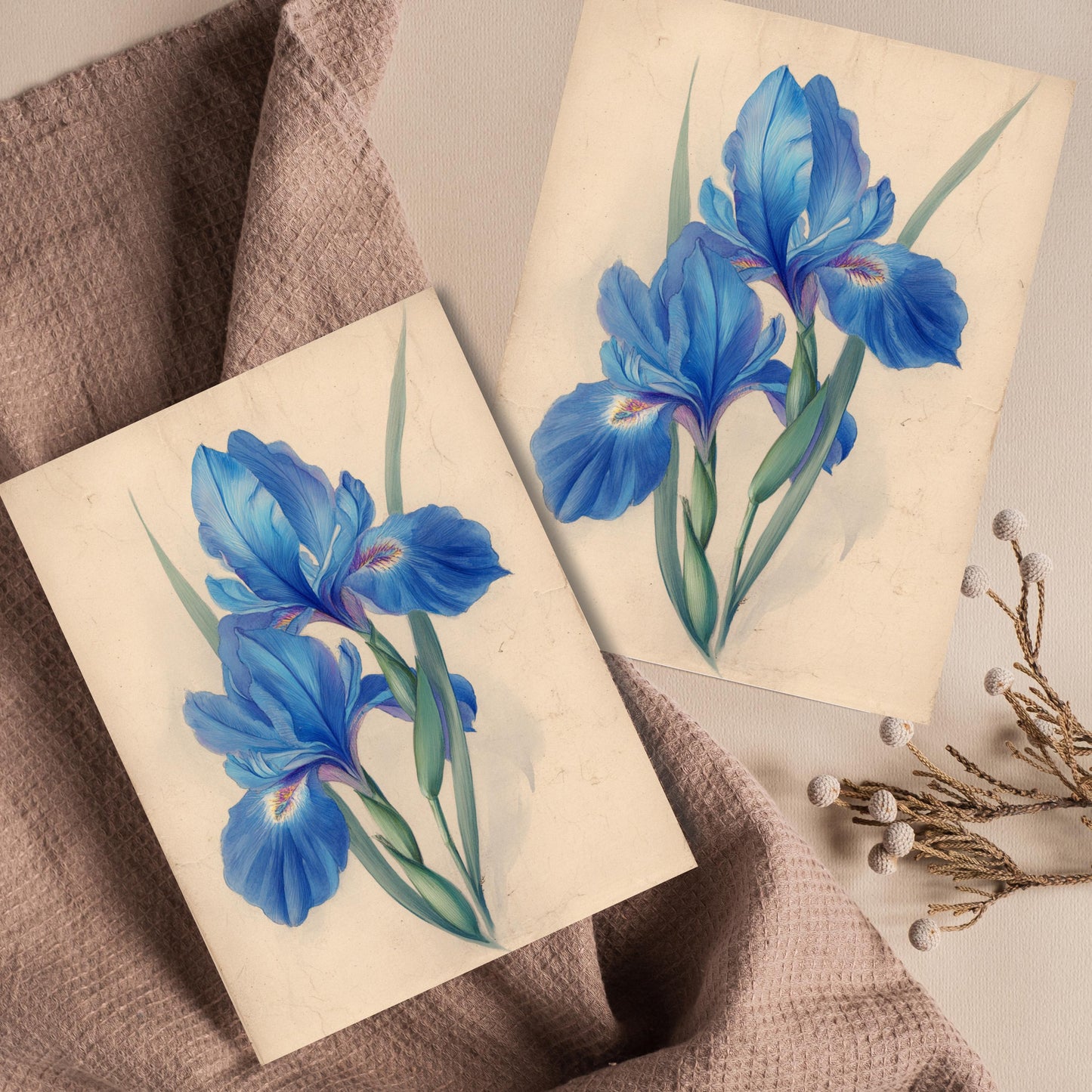 Blue Iris Watercolor Greeting Card