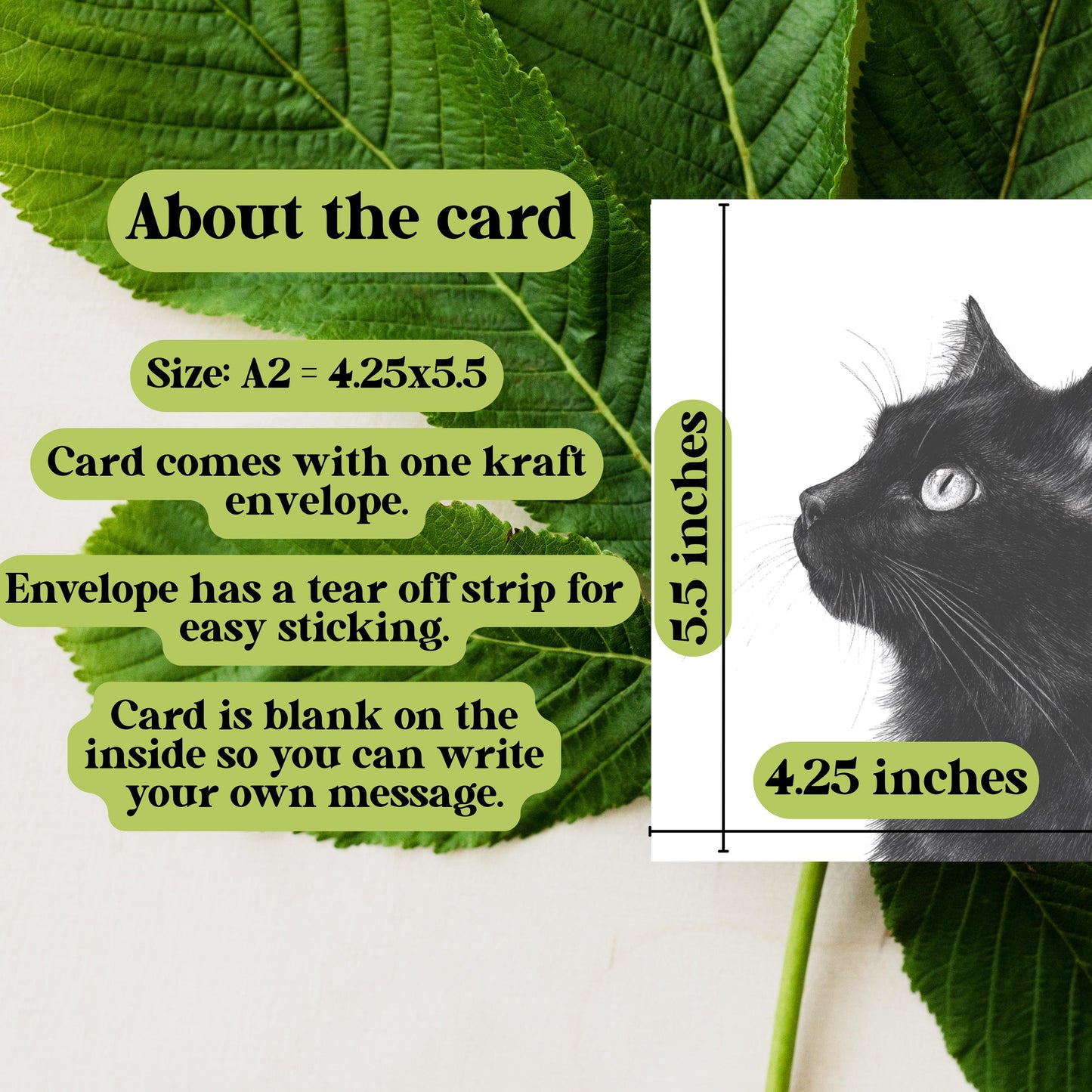 Black Cat Watercolor Greeting Card