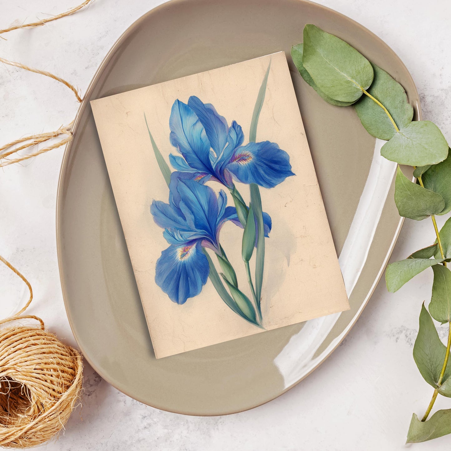 Blue Iris Watercolor Greeting Card