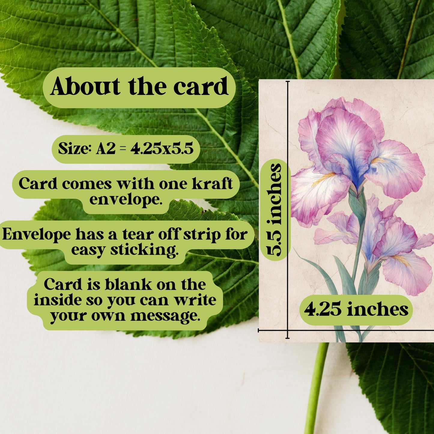 Watercolor Iris Greeting Card