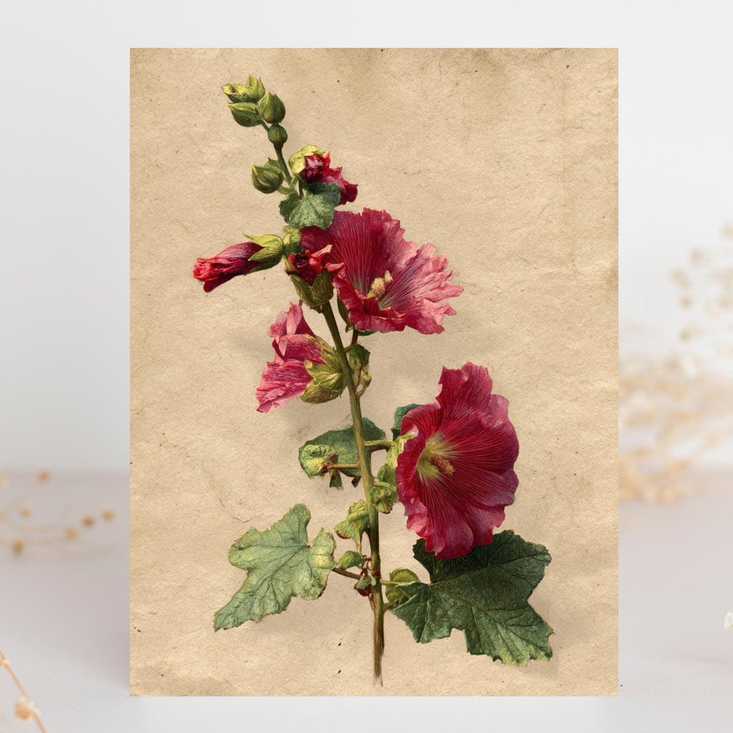 Vintage Botanical Hollyhock Greeting Card