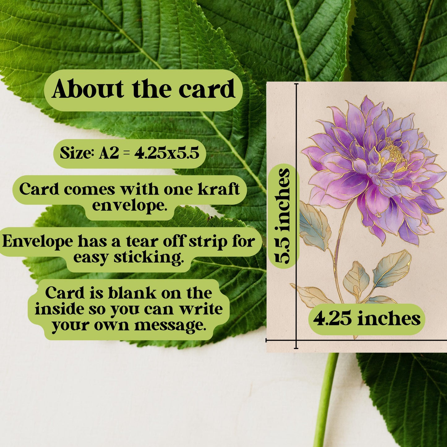 Vintage Purple and Gold Dahlia Greeting Card