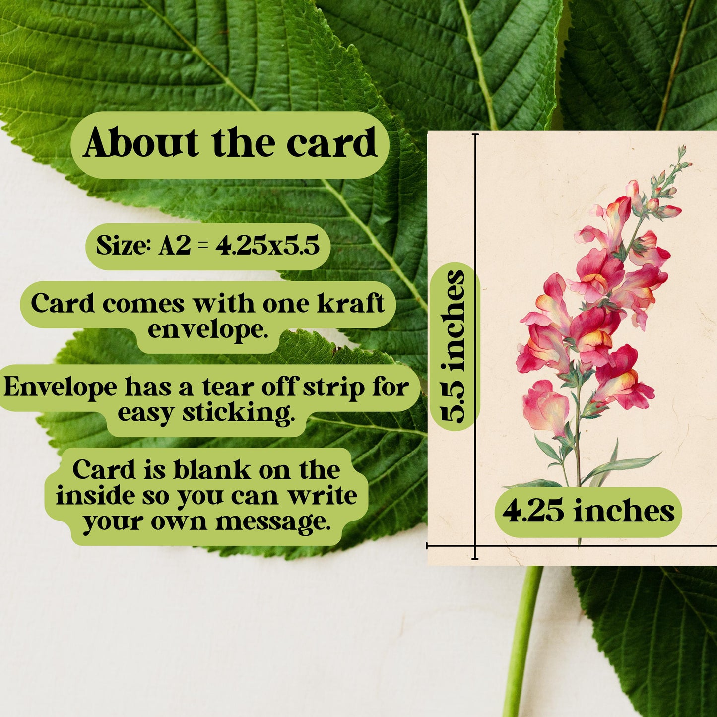 Snapdragon Flower Watercolor Greeting Card