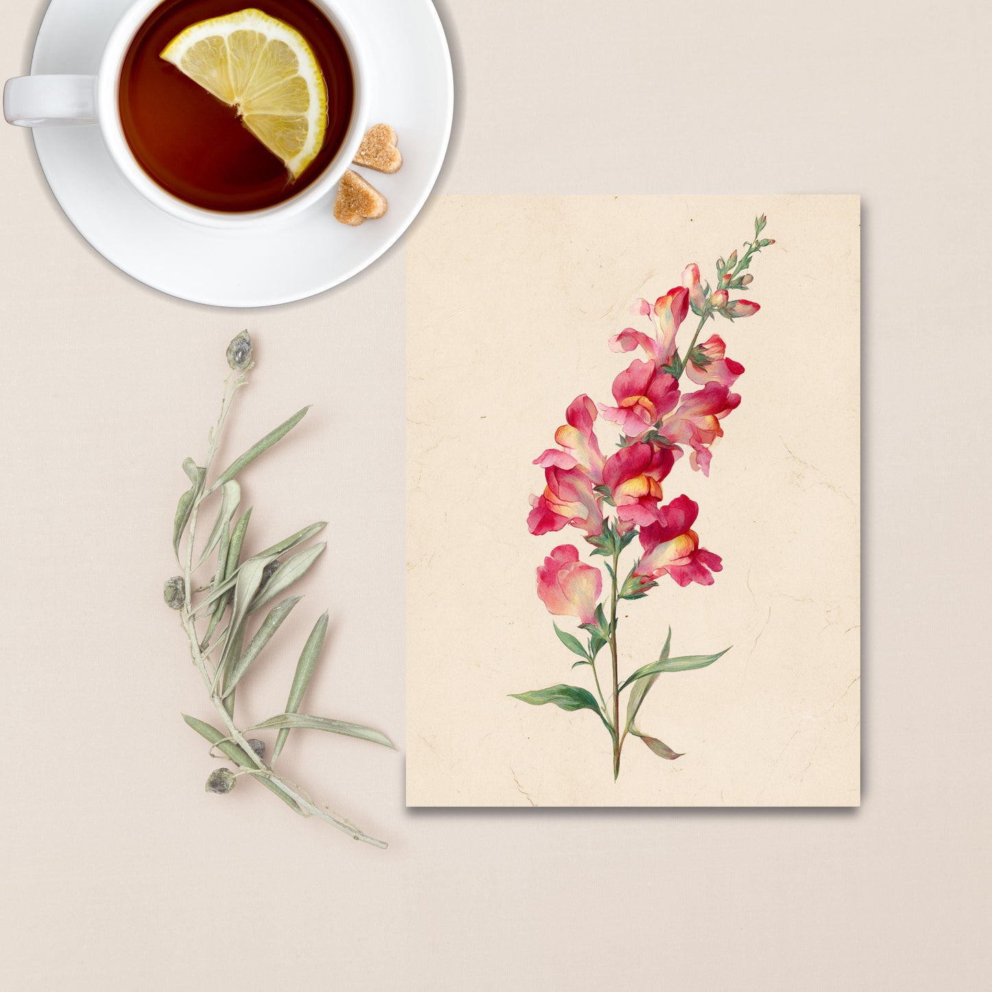 Snapdragon Flower Watercolor Greeting Card