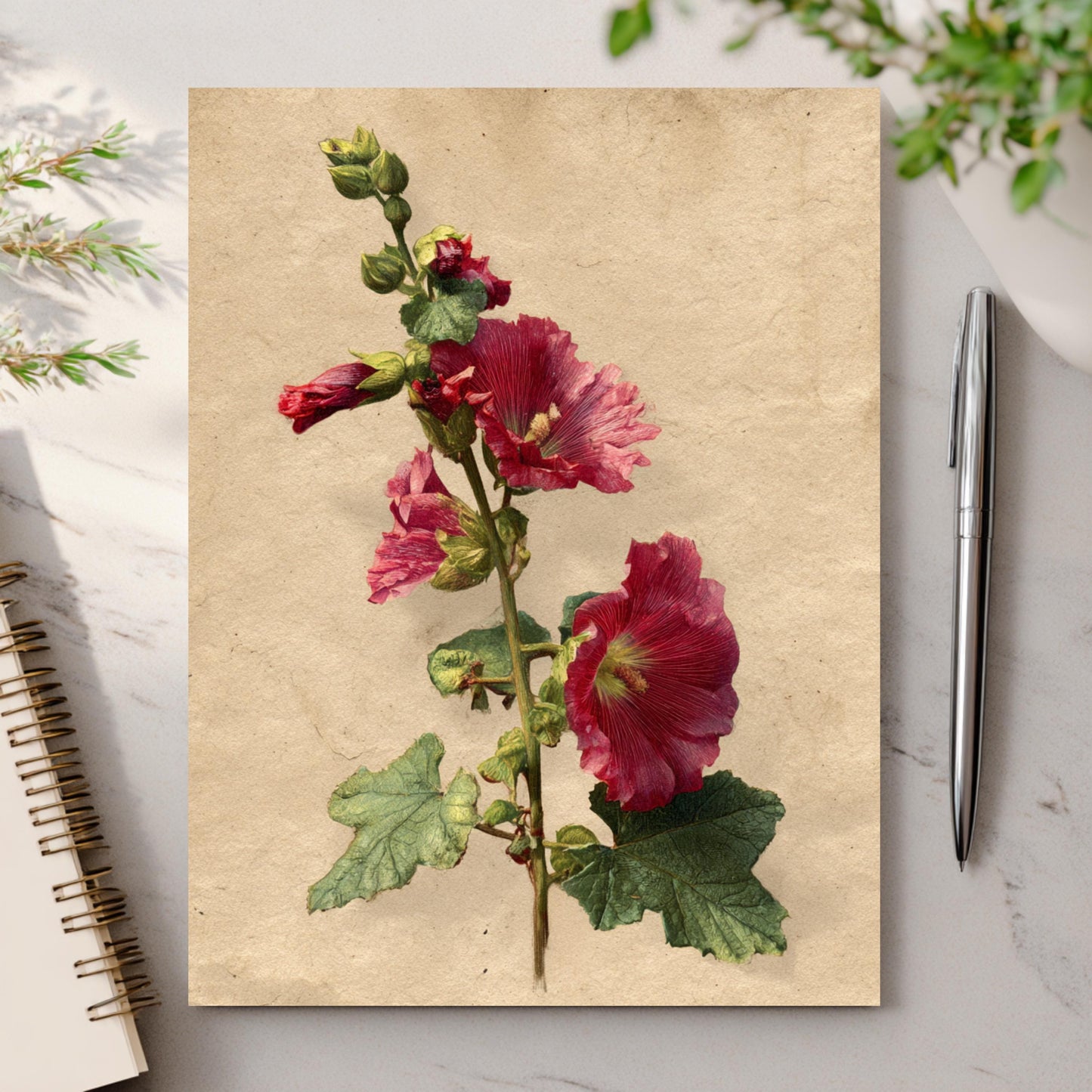 Vintage Botanical Hollyhock Greeting Card