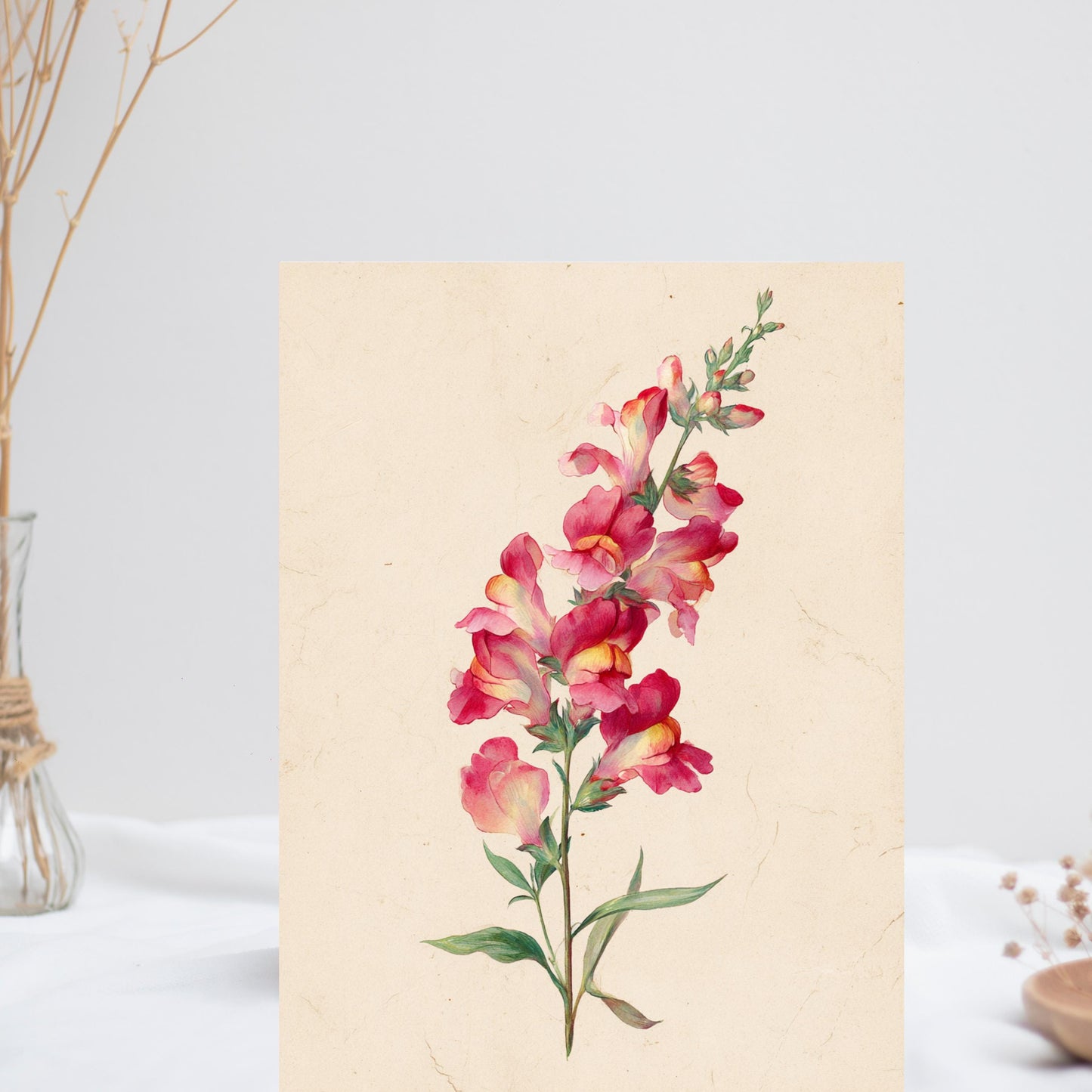 Snapdragon Flower Watercolor Greeting Card
